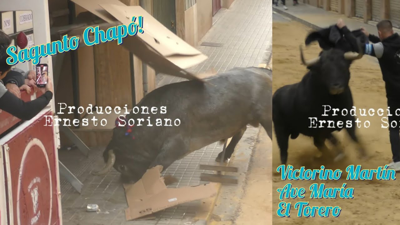 Sagunto lo Bordó! - 25 Enero 2025 - Víctorino Martín - Virgen María - El Torero 💯✅✅