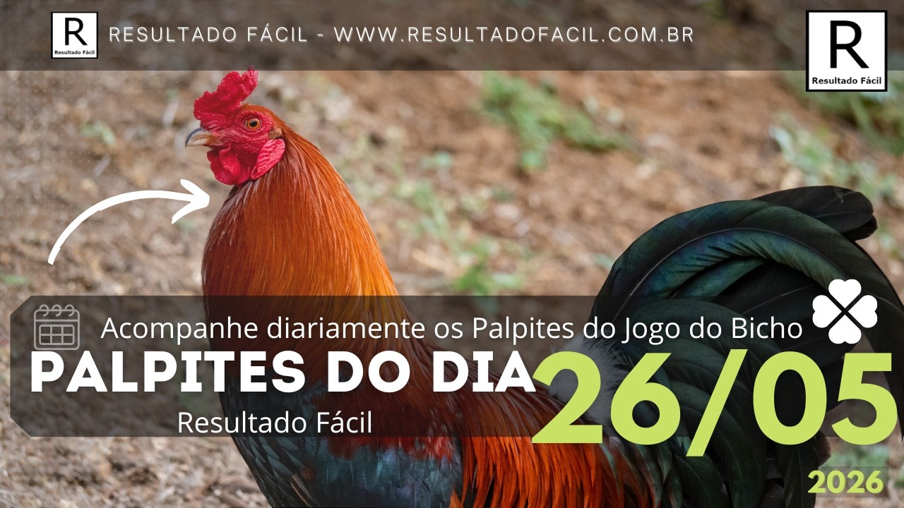 Palpites do dia Jogo do Bicho para o dia 26/05/2026