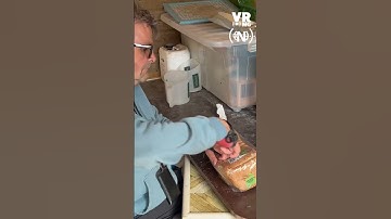 Ondanks dwarslaesie voert kalverboer Reinard (57) zelf zijn dieren