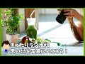 まったりラジオ#8「思い出をデータに残す」