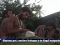 미얀마, 보트 피플 돌려보내다. Myanmar disembarks boatload of 700 migrants in Rakhine state