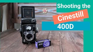 Shooting a roll of Cinestill 400D in 120 format
