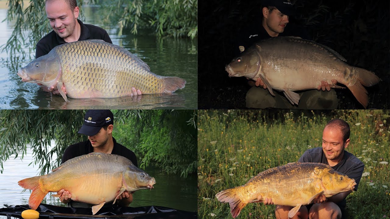 SBS Carp Saving Team Zalacsányban