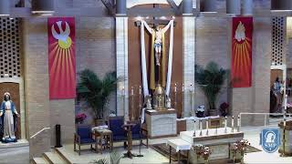 St. Mary Mokena - 9:30AM Mass 4-19-26 (Copy)