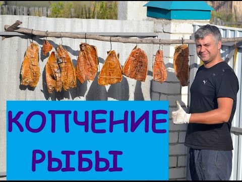 Видео рецепт Копченый сазан