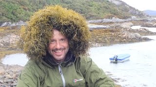 21st Century Foraging: Living with the Land - Part 9