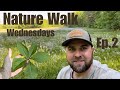 Nature Walk Wednesday | Ep.2 | Limestone Escarpment