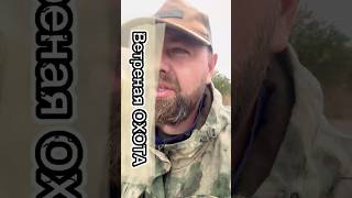 Ветреная ОХОТА! #simplex #metaldetecting #находкисметаллоискателем #кладоискатель #коп #находки #рек