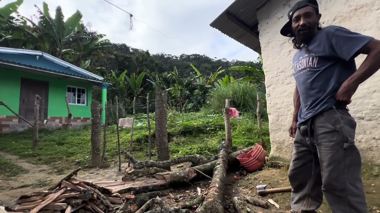 Buenos gallos de Doña Nanda 