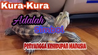 Keberuntungan Memelihara Kura-kura Menurut Feng Shui