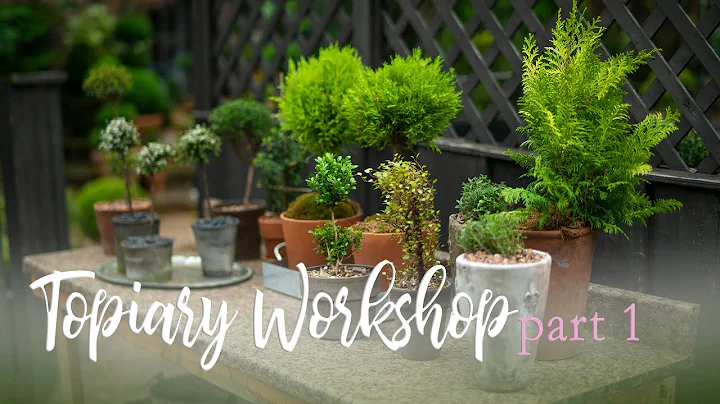 The Art and Practice of Topiary: Part 1 // Linda V...
