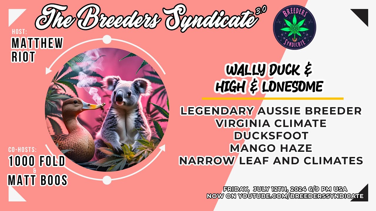 Wally Duck & High & Lonesome Ducksfoot Mango Haze Equatorial Sativas in Diff Climates VA  s11E13