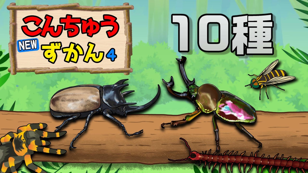 Children's animation] New! Insect encyclopedia 4 (Rhinoceros