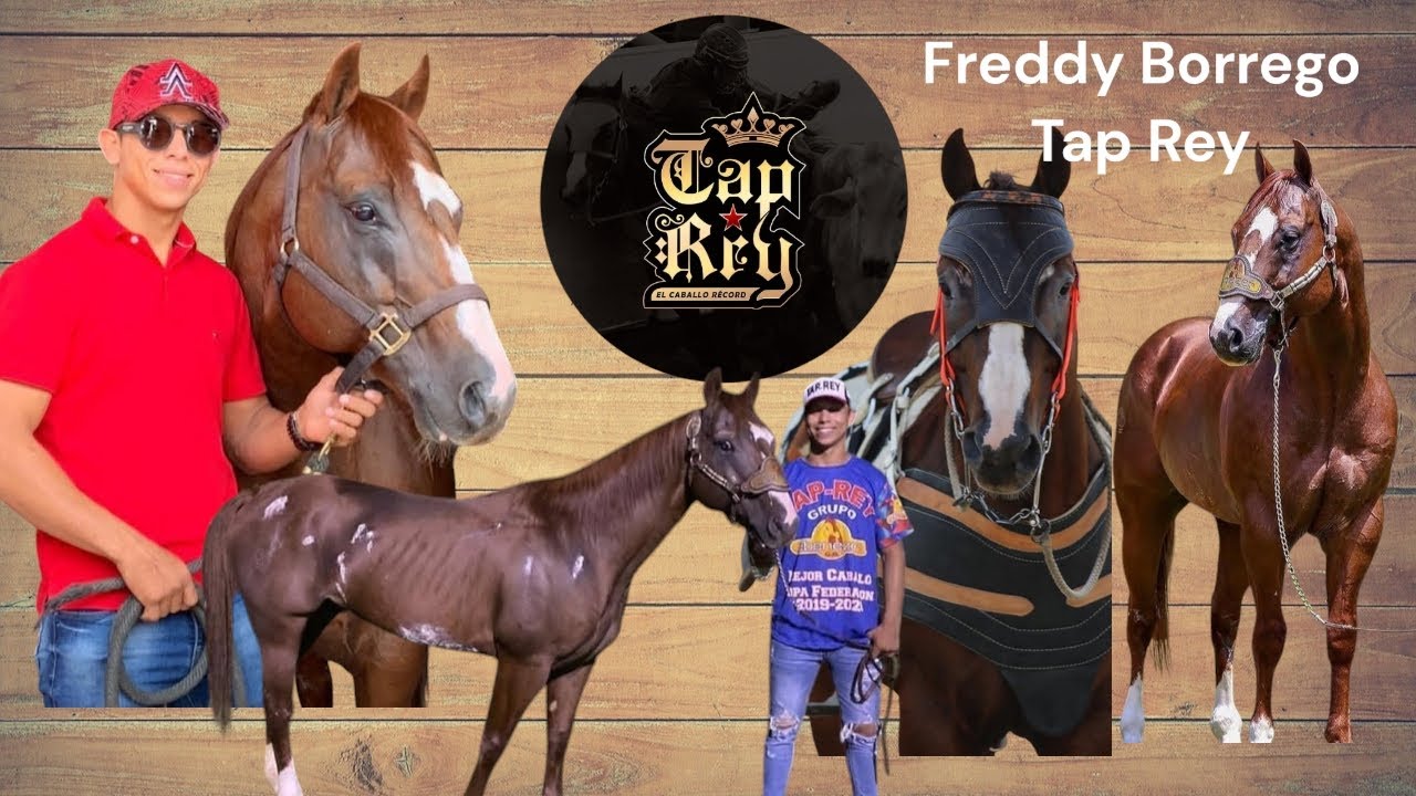 Hombre Récord en el Caballo Récord Del COLEO F/B en Tap Rey