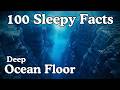 100 Sleepy Facts About the Deep Ocean Floor to Fall Asleep To
