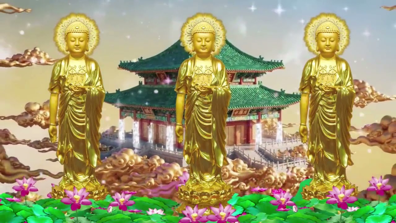 HÂN HẠNH LÀ NGƯỜI CẦU VÃNG SANH TPCL - HÃY NGHIÊM TÚC NGHE KỸ - THẦY AN HỒNG CHIA SẺ TÂM ĐẮC TĐHNCY9