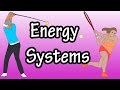 Energy Systems and ATP Production in Human Movement