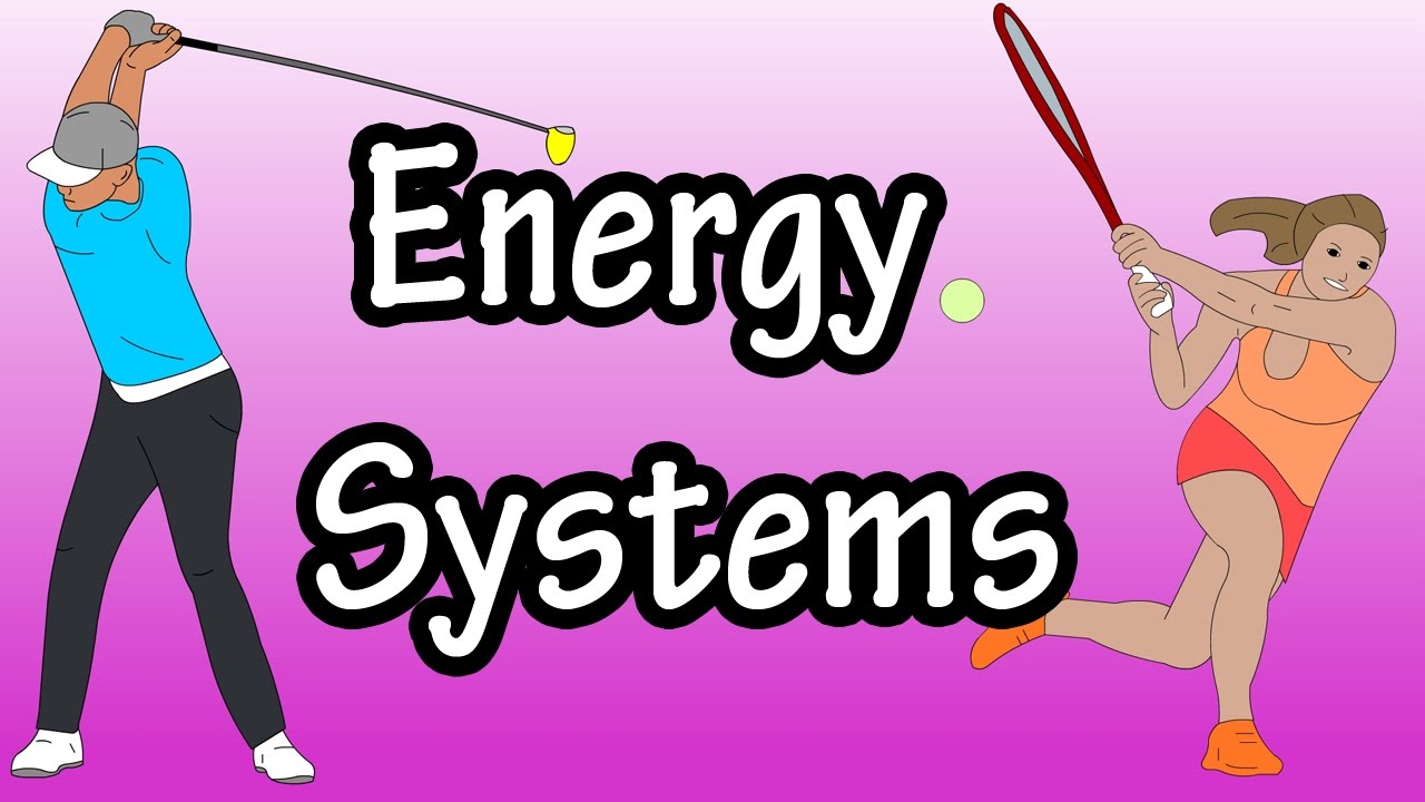 Body Energy Systems Chart