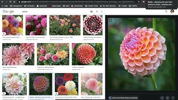 Make your own Flippity Matching game