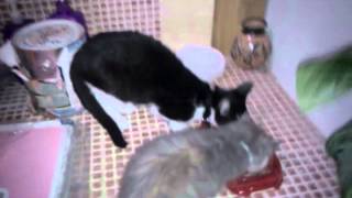 VID20120827-WA0000