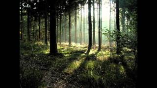 Miniatura de "Michael Whalen "Phantom of the Forest" (official video)"