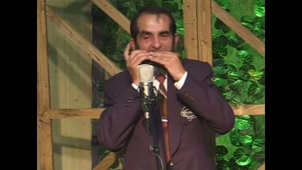 Top 12 cele mai frumoase melodii la muzicuță-