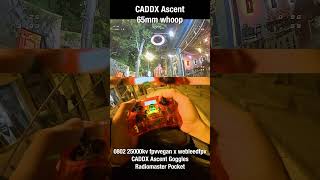 Donut FPV #drone #fpv #betafpv #tinywhoop #caddx #caddxfpv
