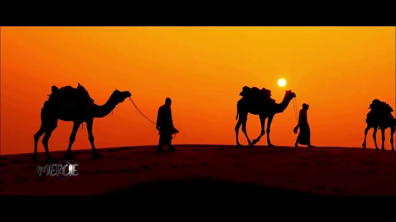 Halam Al Daradja Nariyya BY WILLSENSTUDIOS 1 Halam Al Daradja Nariyya BY WILLSENSTUDIOS 1