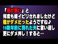 【スカッとする話】『畑が悪い』と何度も嫁イビリされましたけど種がダメだったようですね♪10数年前に別れた夫に言い返し更にダメ押し!すると...