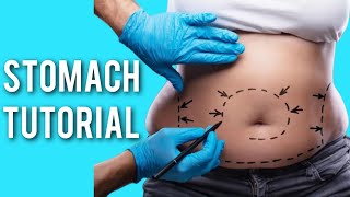 Renu/Wellspa Stomach Tutorial