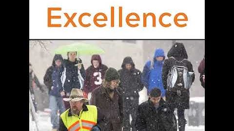 Excellence and Integrity