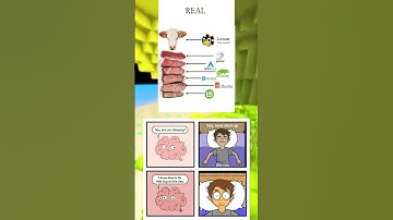 my brain in 5 A.M 😂👀 #code #memes #linux