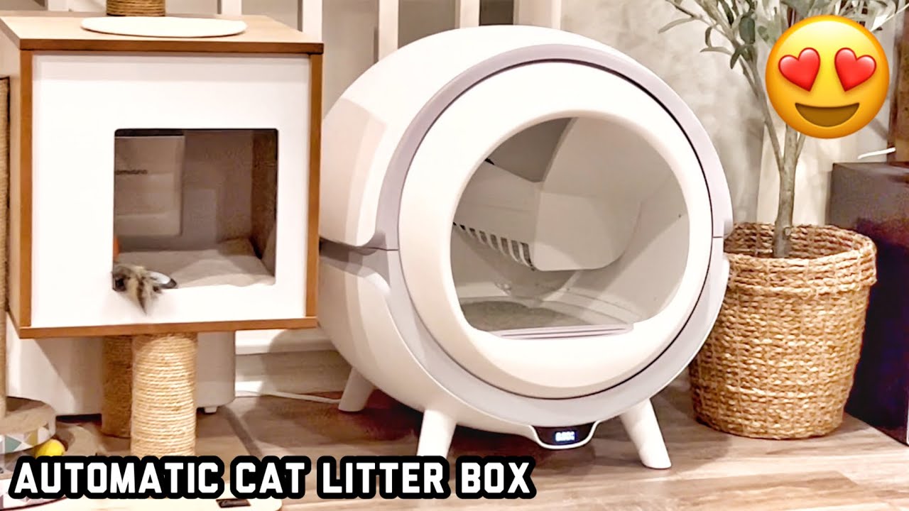 Automatic Cat Litter Box: Odor-Free & Hassle-Free【Review82