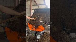 Hoy ponemos a prueba el mini dumper Zeppelin como nunca antes #publicidad