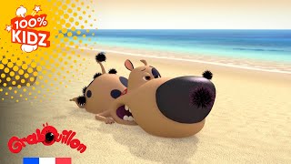 Grabouillon Coquillages Et Crustaces Saison 3 - Épisode 4 Épisode Complet Fr