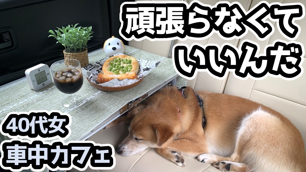 もう家にはいられない【車中カフェ】頑張らない日も必要｜ワンコと最高の休日を過ごす方法  ｜40代女｜日産サクラ｜軽自動車