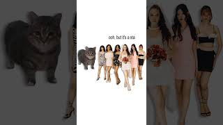 Katseye  Pinky Up But Its Oiiai Cat Remix uiiai mashup remix oiiacat katseye pinkyup