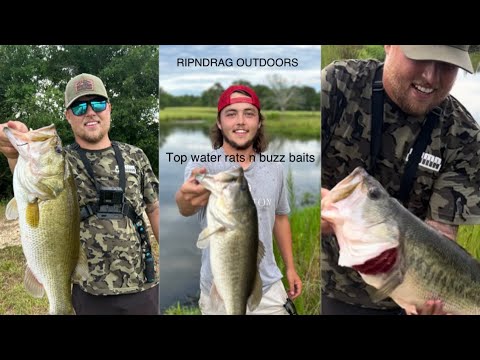 Top water bass fishing (EXTREME BLOW UPS AND ACTION PACKED)