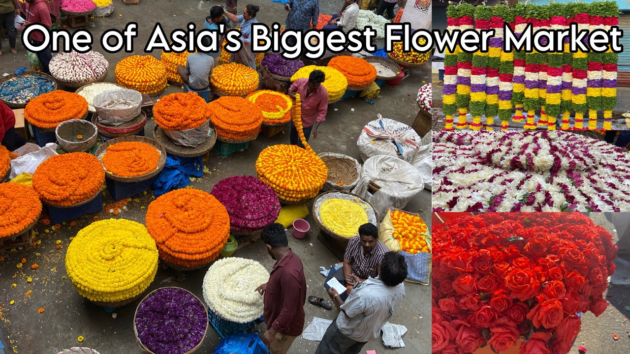 Asia’s Biggest Flower Market YouTube