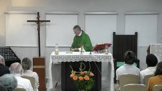 Viernes de la XV semana del Tiempo ordinario  - 17 de Julio del 2026 8:00 PM