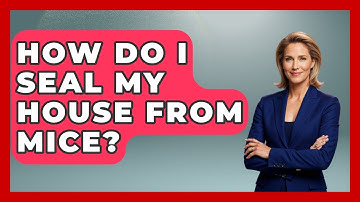 How Do I Seal My House From Mice? - Insects and Invaders