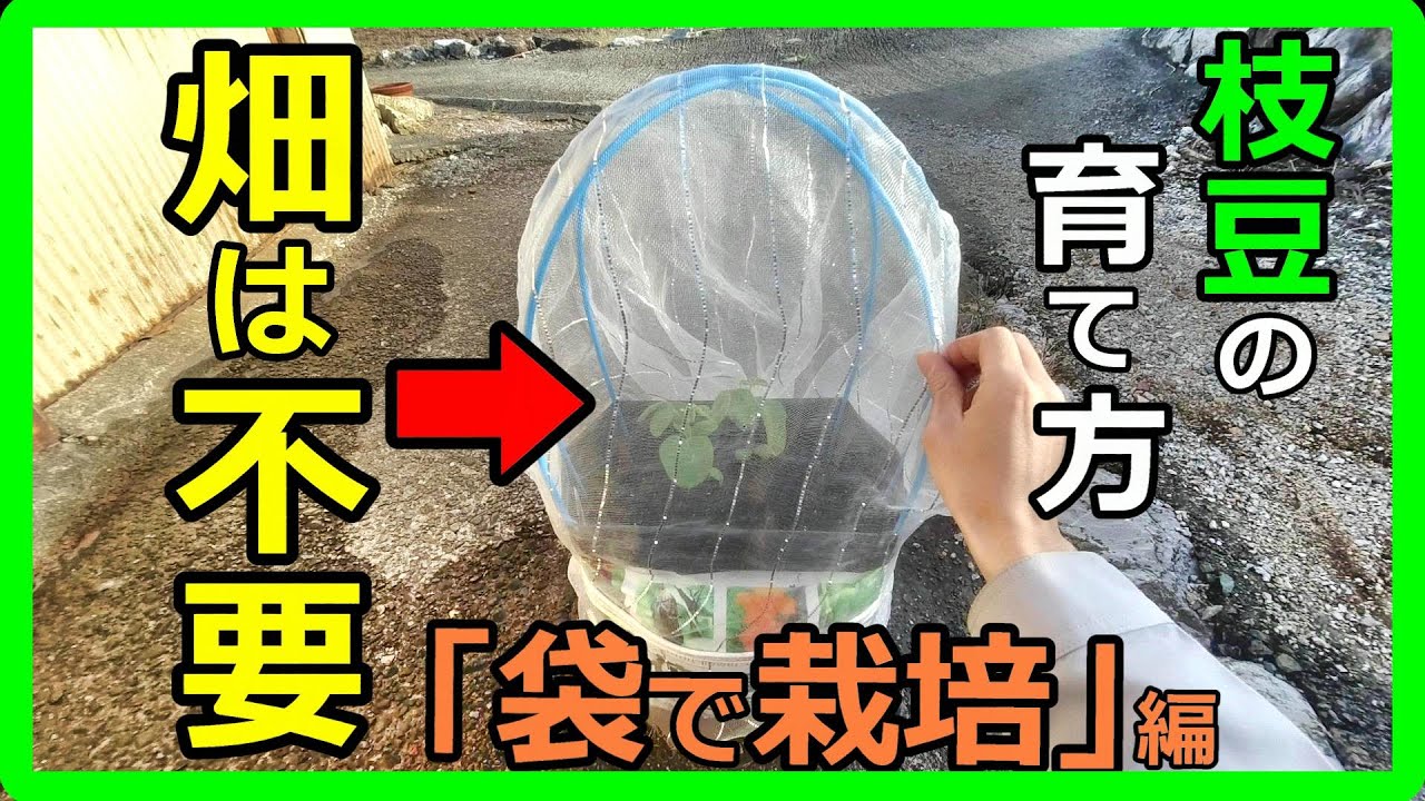 Don't worry if you don't have a field! Learn how to easily grow