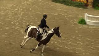 Video of MCG'S RAINBOW ridden by ISABEL KAISER from ShowNet!
