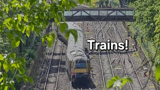 ScotRail: Trains at Street View! & Edinburgh Waverley Station! 🏴