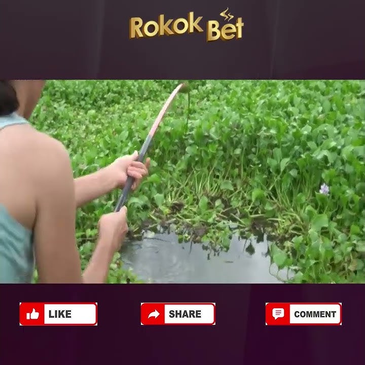 Fishing GIRLS DAY Kumpulan video mancing khusus Wanita #56