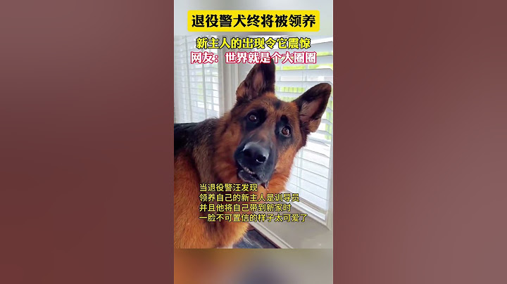 社会百态 | 退役警犬即将被领养，新主任的出现令他很震惊。网友：世界是个大圈圈