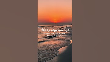 تلاوة من سورة النجم مصلح العتيبي.. تذكير بأن سعيك لن يضيع بإذن الله