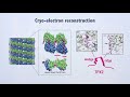 Structural insight into tpx2stimulated microtubule assembly