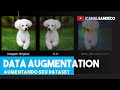 Data Augmentation: Como Expandir Seu Conjunto de Dados 📊