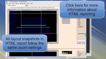 How to adjust default pan and zoom level in RVE and HTML report